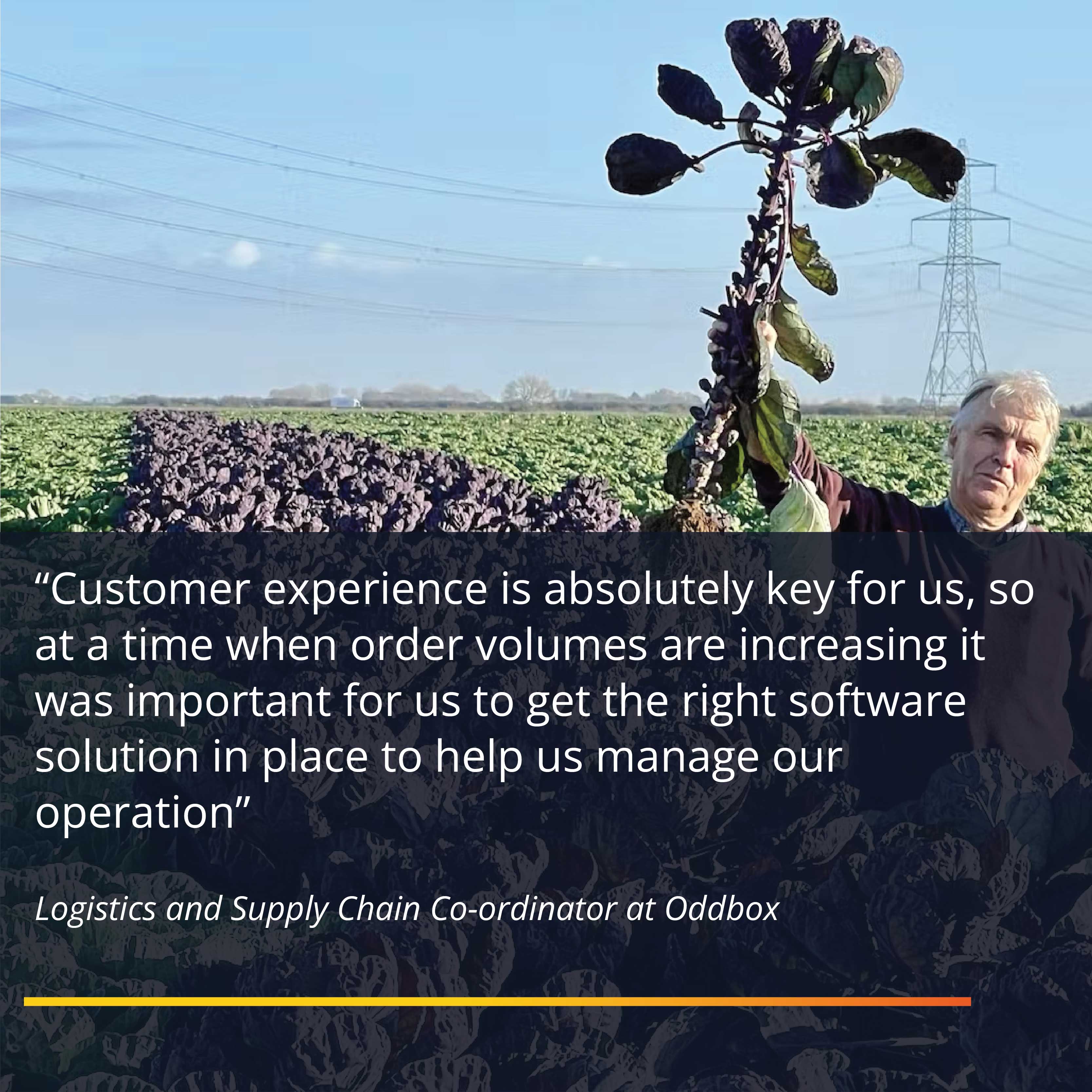 Person holding fruit with a quote